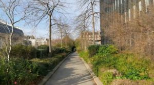 In the DxOMark ranking, the new king, and this is again Huawei