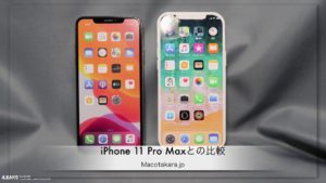 Showing AppleI phone 12 pro max model look