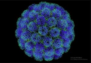 Why coronavirus mortality is so low in Germany