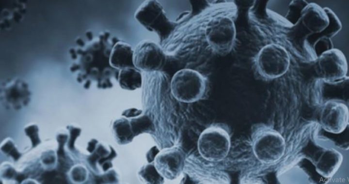 New coronavirus reported 3.44 million people diagnosed with 243015 deaths