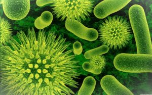 Ancient Chinese Medicine of Han Dynasty can cure new coronavirus 90% effective