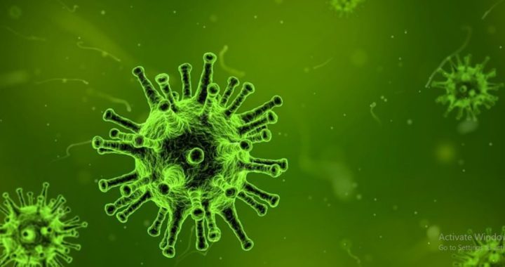 Experts say new coronavirus mutation: mutated in three strains around the world