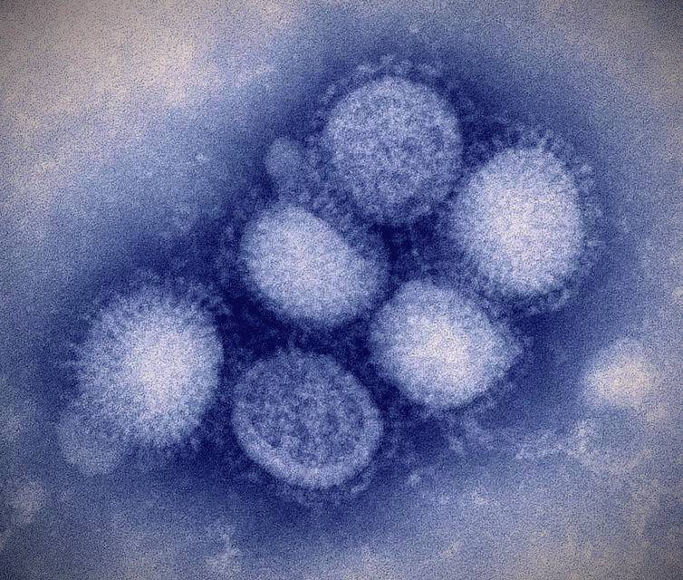 new coronavirus case confirm 8