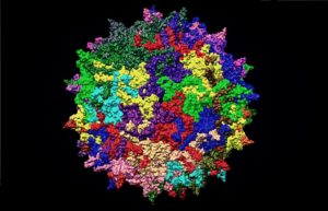 WHO official website falsely reports failure of redoxivir clinical trial in Taiwan