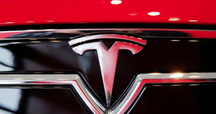 Tesla electric cars in North America fell by 6%