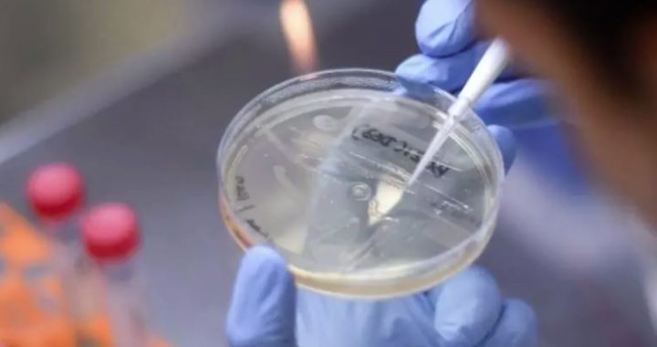 Chinese experts refer to new coronavirus pneumonia or poison attack semen