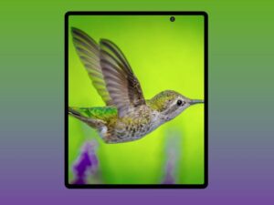 Galaxy Z Fold 2: Leaked firmware with details of the outer display