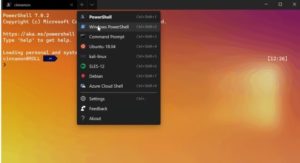 Microsoft released new preview version for the Windows Terminal
