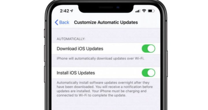 Apple releases iOS 13.6 Beta with a new update function