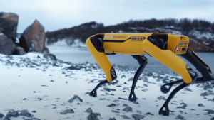 Boston Dynamics Robot Dog Goes On Sale